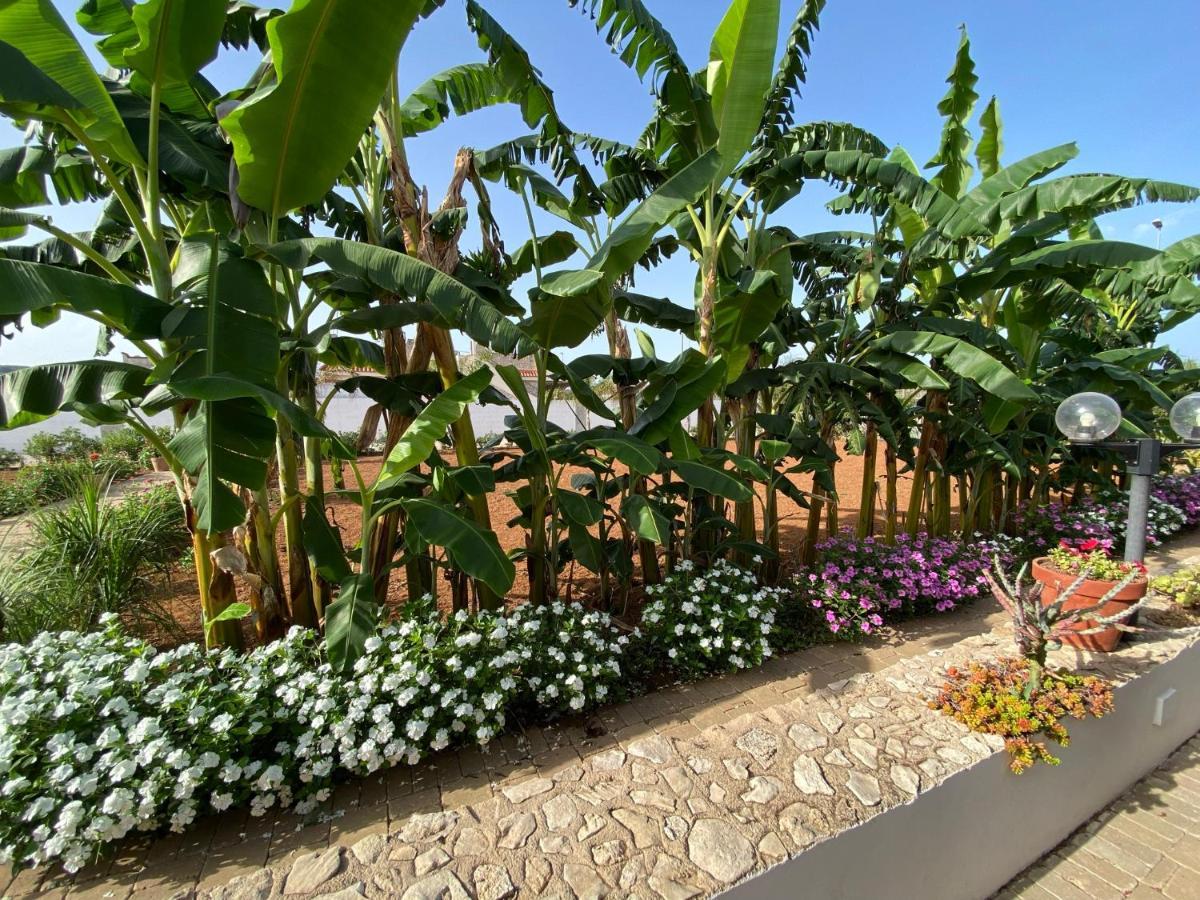B&B Fellini Gallipoli Exterior photo